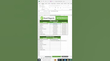 HOW TO USE THE NETWORKDAYS FUNCTION #shorts
