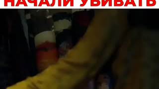 Американские фильмы Бархатная бензопила Американские фильмы Бархатная бензопила