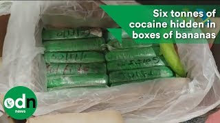 Six tonnes of cocaine hidden in boxes of bananas