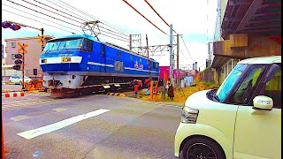 Walking in Japan Street | Shuzuoka shi | FREIGHT TRAIN JP Freight EF210 14