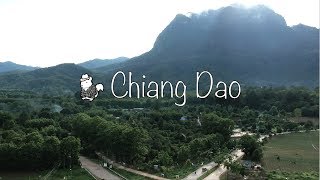 Chilling in Chiang Dao | Craft beer, Ya-dong, Doi Luang