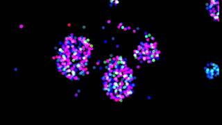 Particle Life - Testing new features