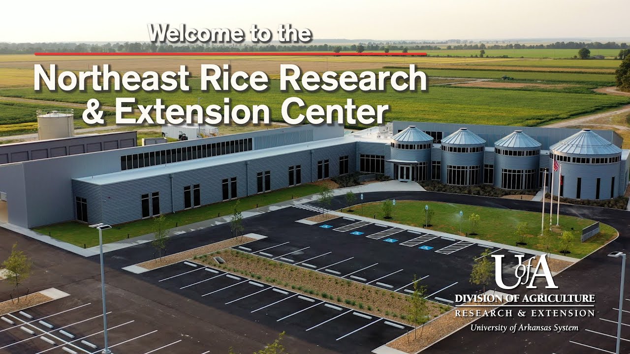 Northeast Rice Research and Extension Center - Video Tour - YouTube