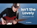 Isnt she lovely  joe robinson  stevie wonder guitar cover