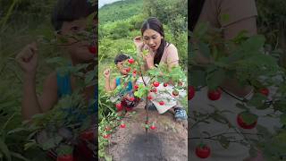 Survival Skills: SMART idea and USEFUL Candy Wala Ped 🌳 #bushcraft #campping#outdoors #useful #idea