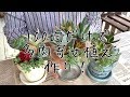 【100均DIY】ダイソー購入品だけでリメイク鉢多肉植物寄せ植え作ってみた 2