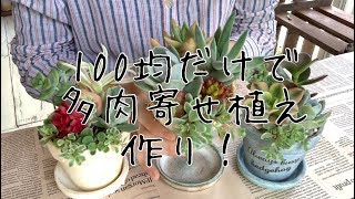 【100均DIY】ダイソー購入品だけでリメイク鉢多肉植物寄せ植え作ってみた 2