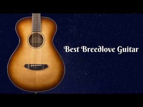 Best Breedlove Guitar for the Money - Top Reviews Of 2021