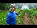 Jim Kovaleski’s Grass-Fed Greenhouse in Maine!