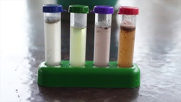Rapitest® Soil Test Kits