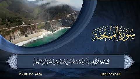 سورة  الممتحنة  مكتوبة للشيخ أحمد النفيس / المصحف المرتل كاملا