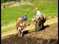 Brot backen nach alter Tradition, Ackerbau Szenen aus Malsau Langtaufers