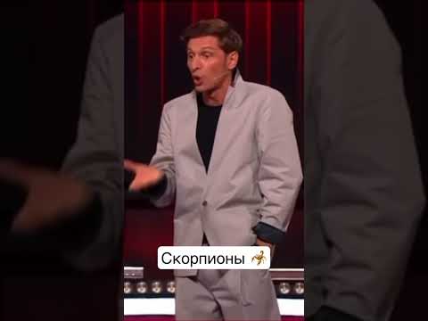 Скорпионы 🤩🦂