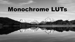 Stunning Monochromes in 1 Click! (new LUT pack 😀)