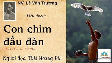 CON CHIM ĐẦU ĐÀN. Tác giả: NV. Lê Văn Trương. Người đọc: Thái Hoàng Phi