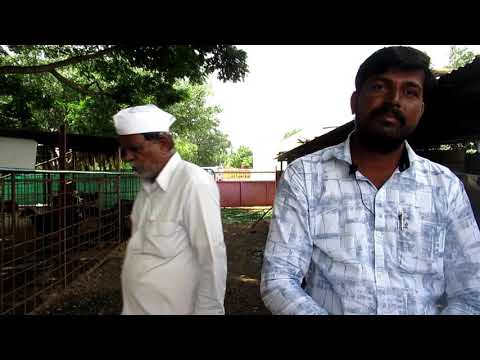 Nilesh Sampatrao Theurkar Dairy Farm Managment Overview