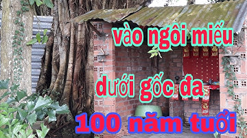 Khám phá ngôi miếu dưới gốc cây đa 100 năm tuổi