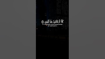 سورة التكاثر د . ياسر الدوسري حفظه الله