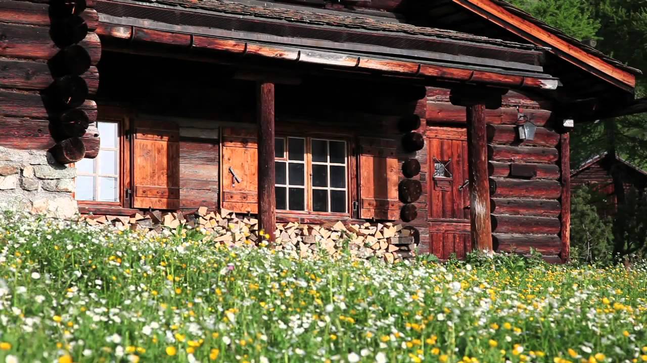 Hiking with Scotties in Arosa (Switzerland)