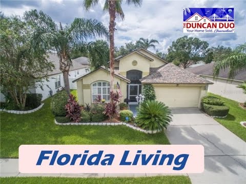 542 ROYAL RIDGE STREET, Valrico, FL home video tour