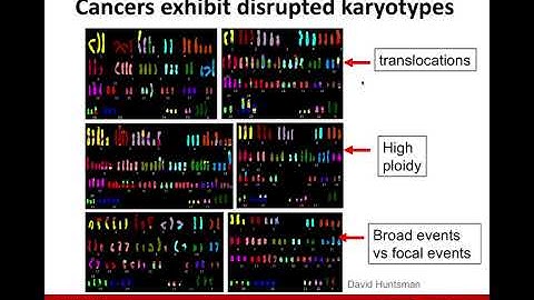 Somatic Copy Number Alterations in Cancer