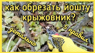 :   , ? 5 ! .