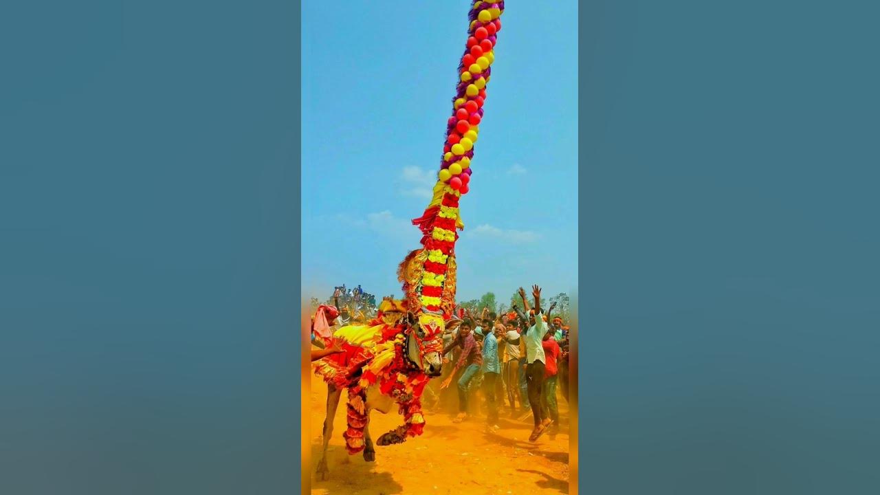 Haveri rockstar trending status haveri rockstar 105 haveri rockstar