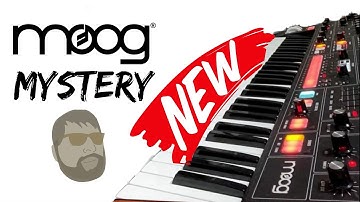 New Moog Mystery Synthesizer ?!?