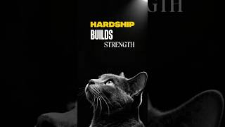Every Failure Brings A Lesson, And Every Hardship Builds New Strength #quotes #lifelesson #mindset