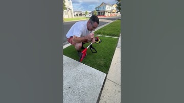 How to get crispy edges with the OZITO grass trimmer. #satisfying #lawntips #hone #garden #diy
