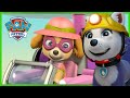 Rescue Knights save Barkingburg and the Princess’ Painting! - PAW Patrol - Cartoons for Kids
