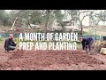 Steps towards self sufficiency - Massive garden expansion, prepping the soil and planting