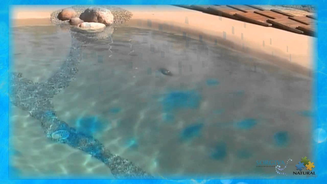 Piscina sorgiva by natural group youtube Problemi piscine biodesign