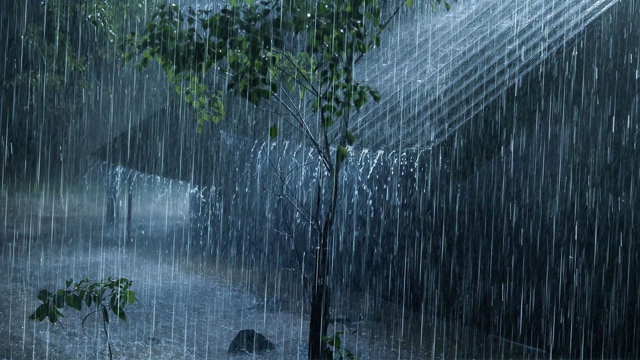 Drift into Deep Sleep in 3 Minutes with Heavy Rainstorm on Tin Top with Deep Thunder