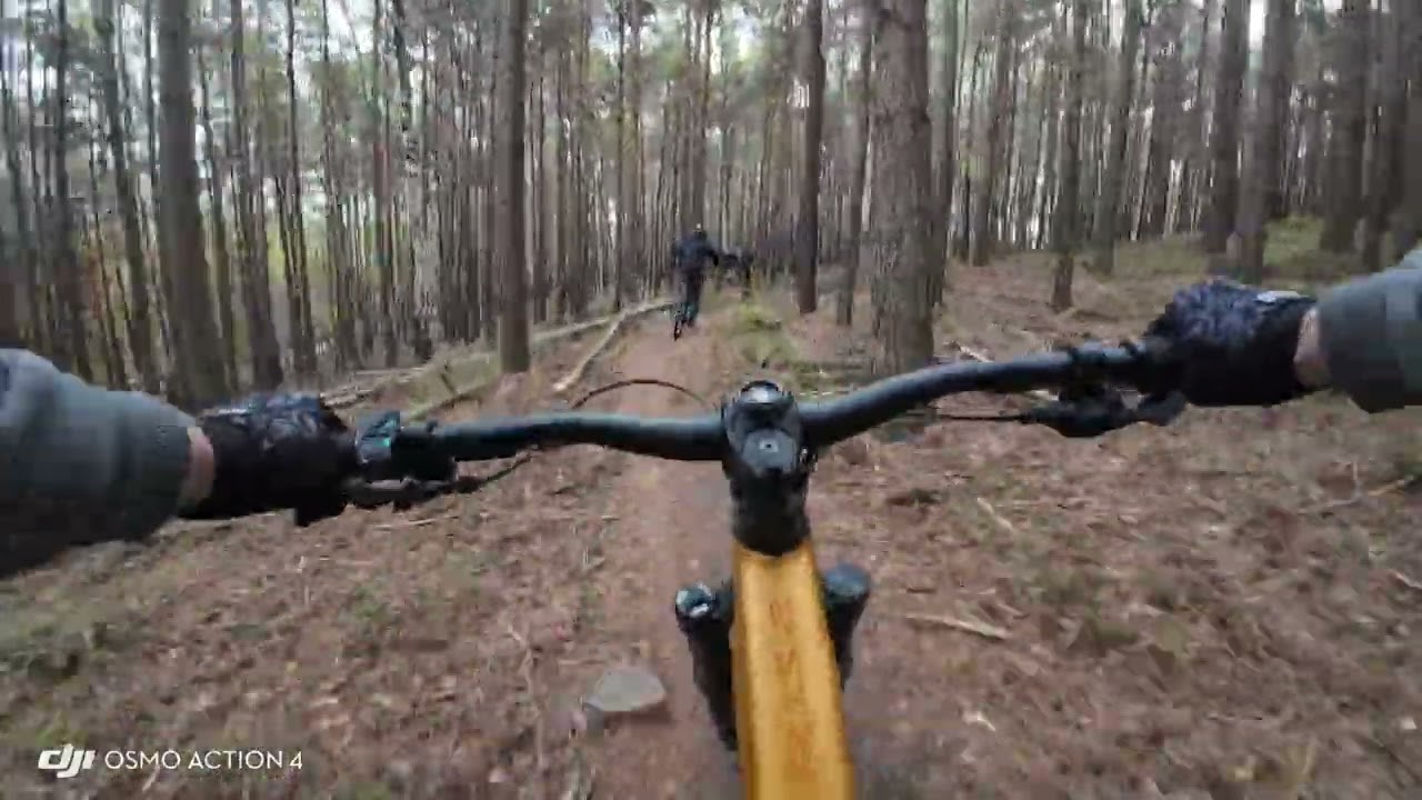 Deidesheim Naturtrail Pechstein