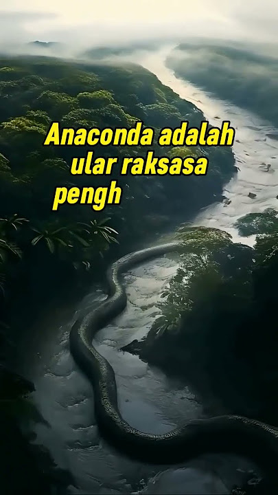 ANACONDA Terbesar di Hutan AMAZON #shorts #anaconda #amazon #sejarah