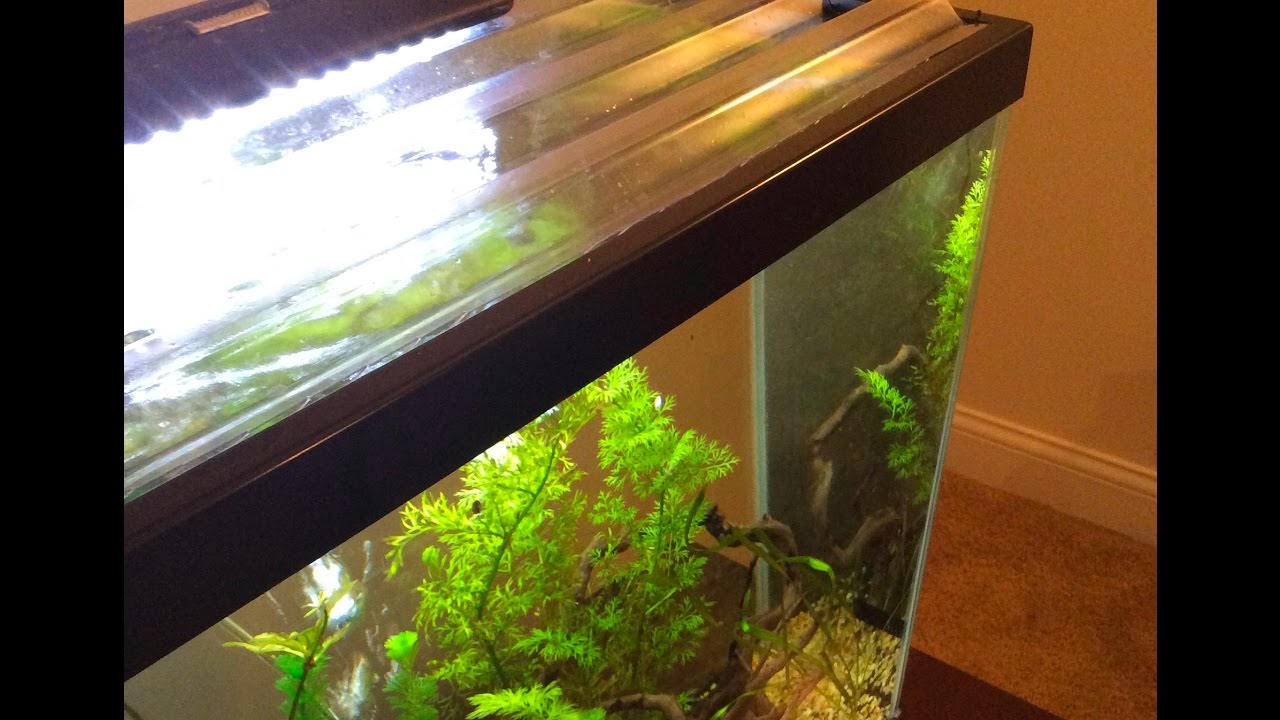 DIY Aquarium Lids! - YouTube