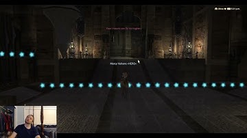 FFXIV "Kicking the Hornet