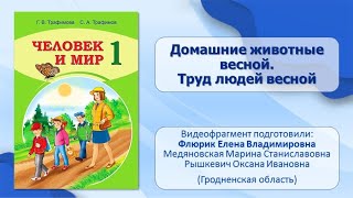 Тема 20. Домашние животные весной. Труд людей весной