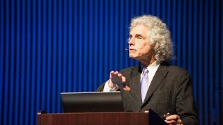 Steven Pinker Four Themes Of The Enlightenment Long Now Seminar Highlight