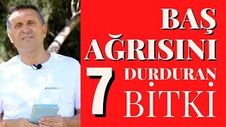 Baş Ağrisina Bi̇tki̇sel Çözüm I Baş Ağrisini Ne Geçi̇ri̇r I Bağ Ağrisi Nasil Geçer