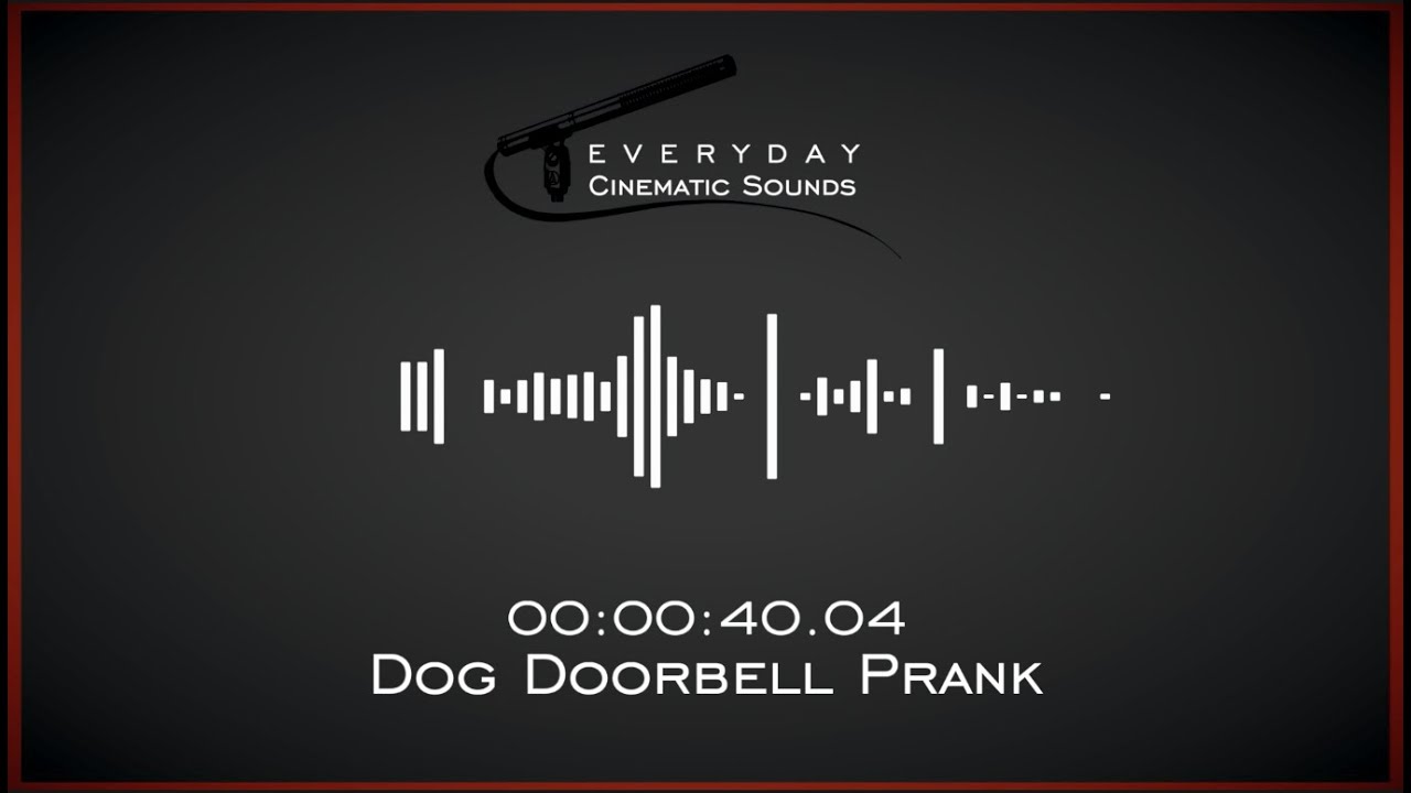 Dog Doorbell Prank Sound (With Delay) YouTube