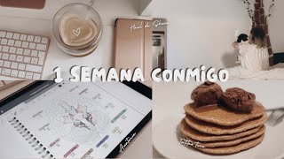 1 semana conmigo| Haul de shein, anatomía, organización by Elizabeth Romo 238 views 6 months ago 28 minutes