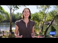 Early spring heat hits Sydney as crews battle bushfire on Central Coast | ABC NEWS