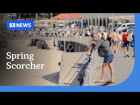 Early spring heat hits Sydney as crews battle bushfire on Central Coast | ABC NEWS