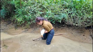 Duyen Went To Pick Vegetables And Accidentally Saw A Lot Of Fish.