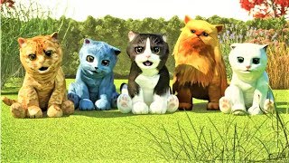 Cat Simulator - Fun Game Kittens 3D For Kids  - News Game Funny - Cute Cat Simulation Game screenshot 5