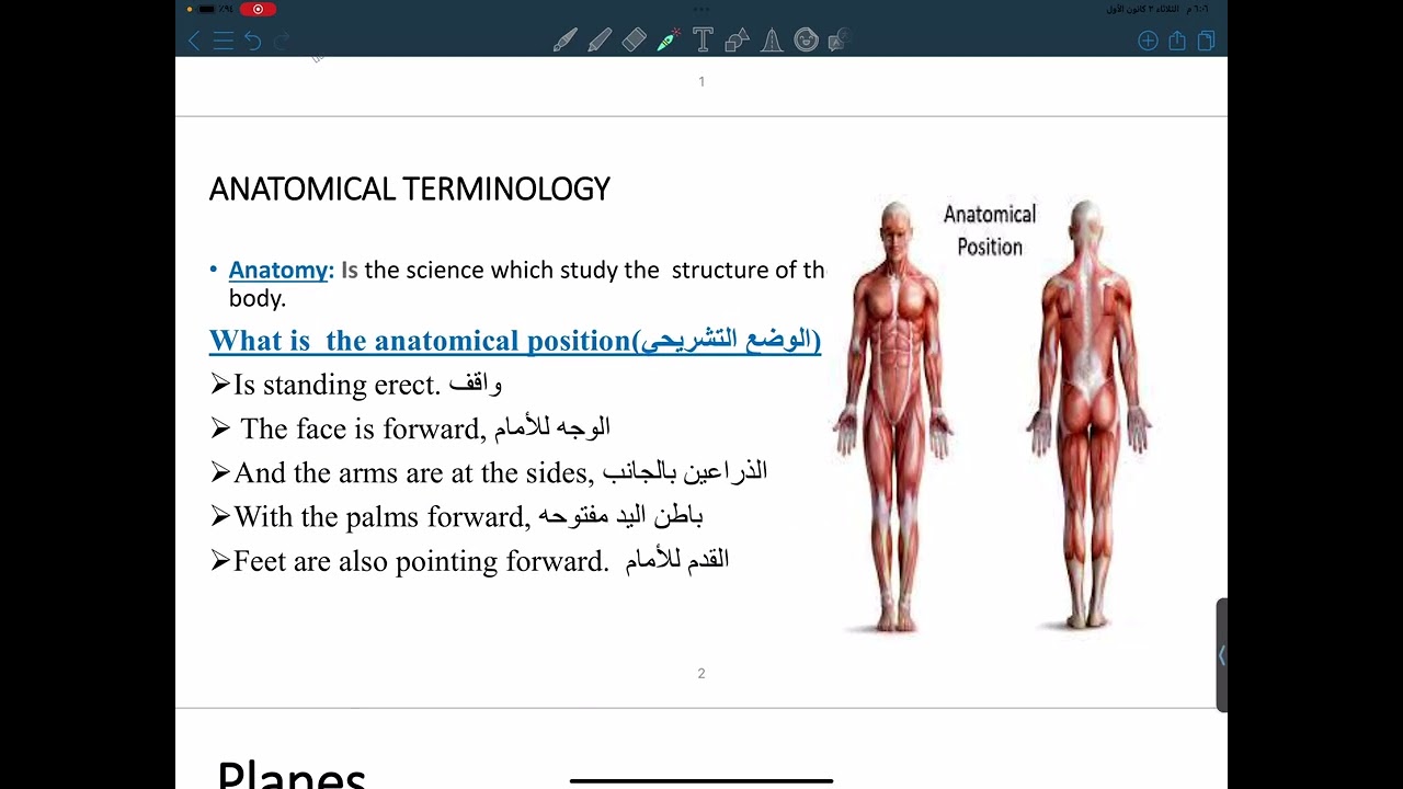أساسيات طلبة المرحلة الأولى للمجموعة الطبية جدا مهم