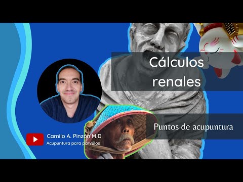 CALCULOS RENALES puntos para su manejo | Acupuntura para párvulos
