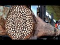 Not Just Any Wood! The Unique Process of Splitting Ancient